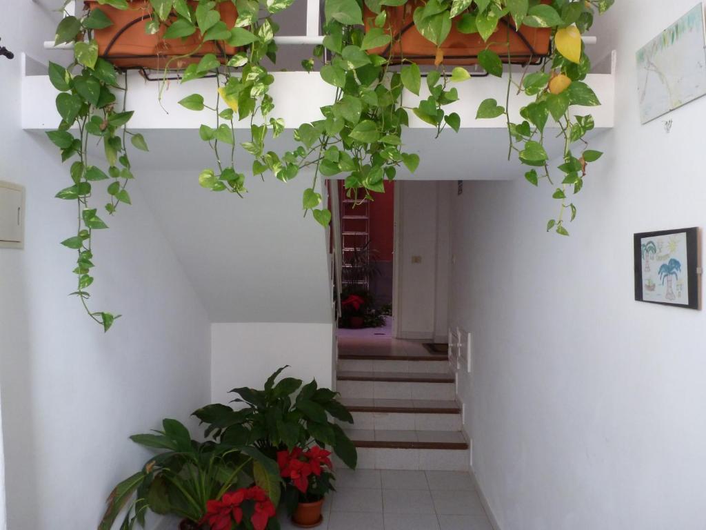 Apartamentos Bellavista Gomera Playa de Santiago  Exterior foto